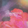 The Late A.M. - Clonidine - Single